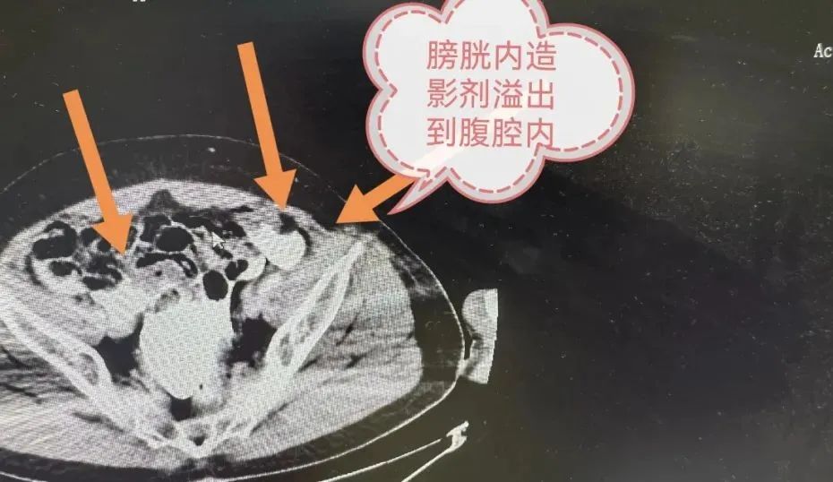 微信圖片_20220323104340.jpg