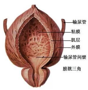 微信圖片_20220323104400.jpg