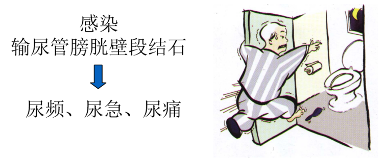 圖片43.png