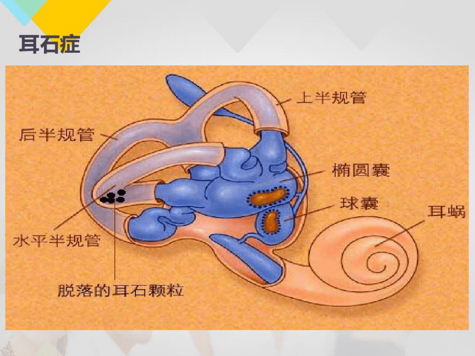 圖片96.png