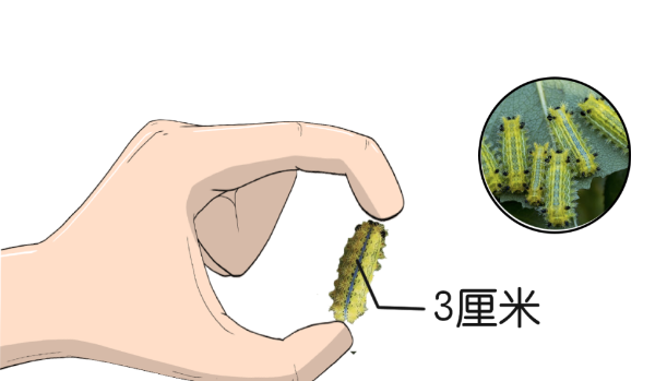 圖片151.png