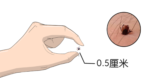圖片152.png