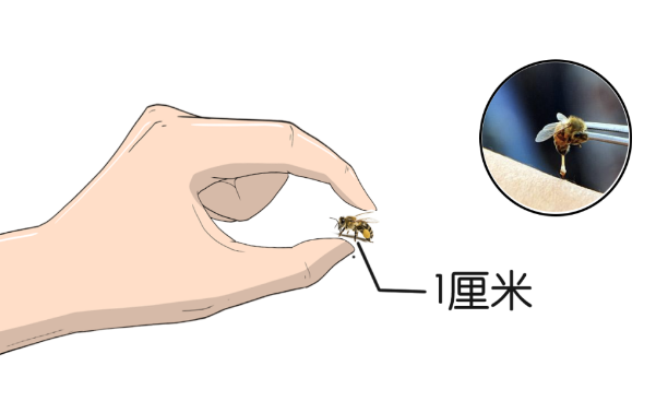 圖片153.png