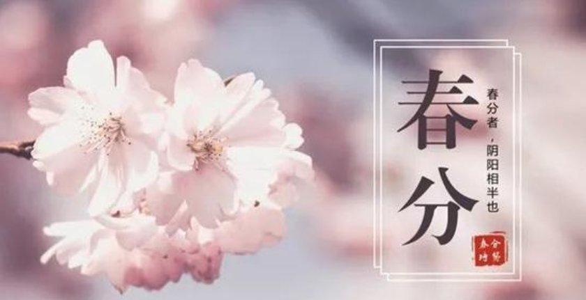 1743214649824080.png